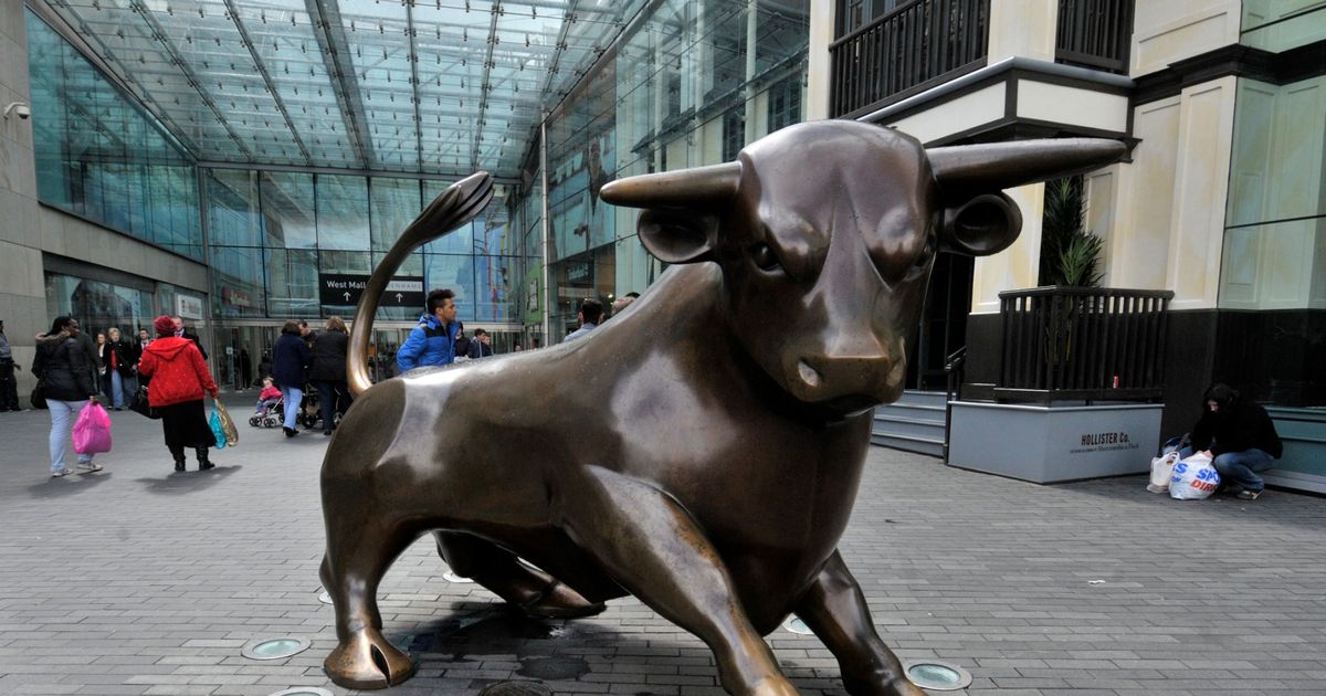 The-Bull The-Bull